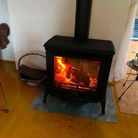 Pod Starym Debem Ostroleka (Grojec)