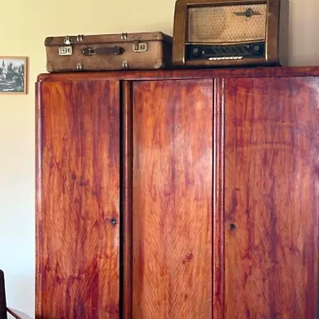 Pod Starym Debem Ostroleka (Grojec)
