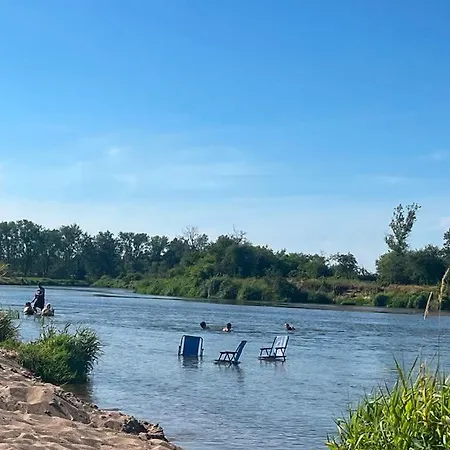 Pod Starym Debem * Ostroleka (Grojec)