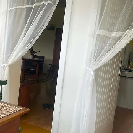 Pod Starym Debem Ostroleka (Grojec)