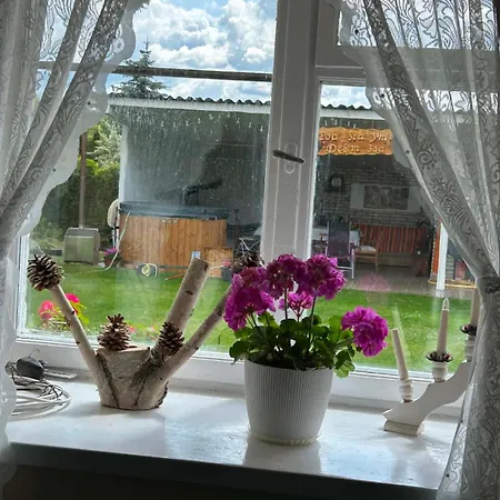 Pod Starym Debem Ostroleka (Grojec)