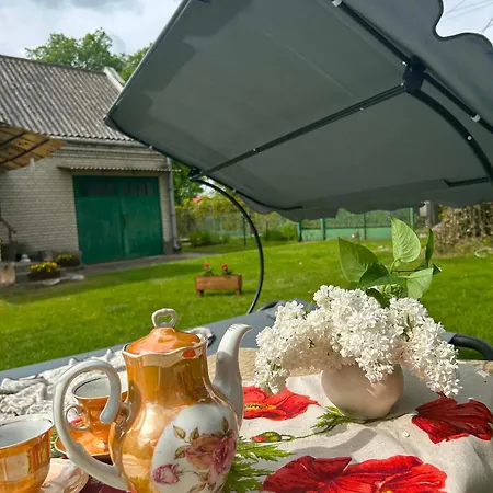 Pod Starym Debem Будинок відпочинку Ostroleka (Grojec)